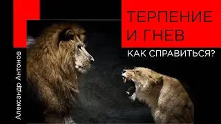 Терпение или гнев, как справиться? | Проповедь Как терпеть людей? | Александр Антонов