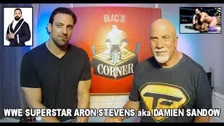 Дэмиен Сэндоу, Арон Стивенс, профессиональный рестлер, суперзвезда WWE.