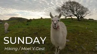 Sunday Hike up Moel Y Gest - Hiking in Snowdonia