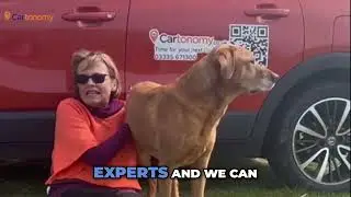 Find The Perfect Dog Car  Cartonomy's Funding Solution