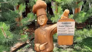 кафе лесное славянка