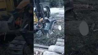 The Sound of Logs and Saws!#heavyequipment #work #sound #logging #machinery #logger #tigercat