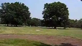 The Netherlands Carillon Bells