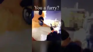 Humiliated while public fursuiting - YIKES!!