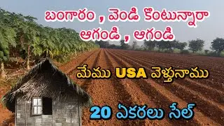 మేము USA వెళ్తున్నాం 😲 | 20 ఎకరాలు సెల్ – Final Price 15 Lakhs మాత్రమే!