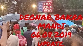 Deonar bakra mandi 06.Aug.2019 UPDATE