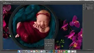 Newborn digital background composite & colour change tutorial - Orchid bowl