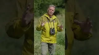 A Butterfly Bonanza #rewilding #Butterflies #Wildflowers #NatureRecovery #Ecotalk #ChrisPackham