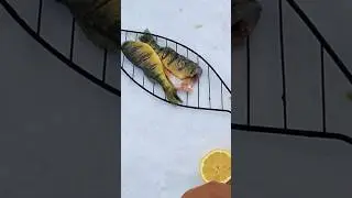 Perch Catch and Cook right on the Ice With Underwater Footage:Watch full video below🔥#icefishing