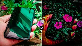 Flowers in Phone Editing on PicsArt | Lightroom
