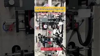 cat food packing machine | cat food packaging machine for Philippine customer | pet food packing