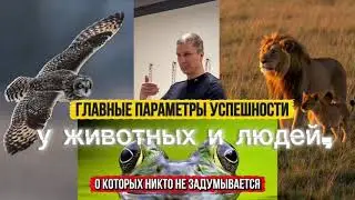 Главные параметры успешности у людей и животных, о которых никто не задумывается 