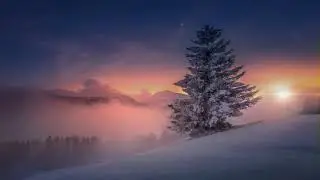 Beautiful Winter Twilight ❄️ &mdash; Relaxing Music Ambience 🌲🌨