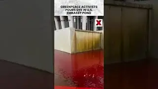 #greenpeace #activists Spill Dye at #usembassy pond in #london | NewsX World | #viralshorts