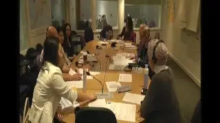 Mock Conference - 03/04/17 - Climate Change Disasters and Displacement.