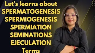 Spermatogenesis,spermiation,spermiogenesis#youtubevideo#jet#icar#trandingvideo#neetpreparation#cuet