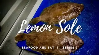 Lemon Sole Ep7 - How to Prepare - Seafood & Eat It Series 2 - Bristol Fish HGC