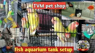TVM pet shop all pets & birds sales# செல்ல பிராணிகளுக்கான கடை திருவண்ணாமலை#TVM PETS& BIRDS