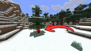 minecraft secret room under tree