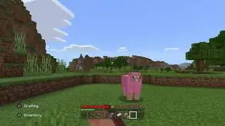 Pinkshep