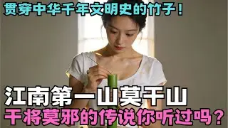 贯穿中华千年文明史的竹子！江南第一山莫干山，干将莫邪的传说你听过吗？ #纪录片 #绿野中国 #揭秘 【青山秀水】