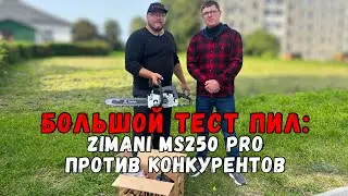 Бензопила ZimAni MS250 PRO в реальных условиях. Сравнительный тест  STIHL | CHAMPION | Holzfforma.