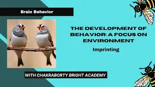 The Development of Behavior: A Focus on environment II Imprinting