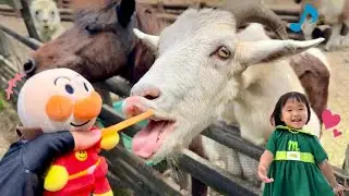 I fed animals at the zoo with Anpanman! Nano Kids Animal Kingdom Feeding Anpanman Baikinman Dadan...