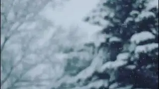 2/28/18