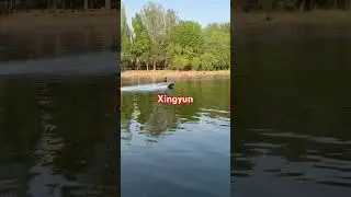 12.5kw,60V,36km/h#minijetboat #jetpump #jetboat #waterjet
