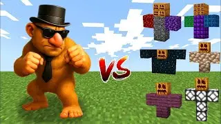 MUTANT MATEOOO vs All New Golems Minecraft Mob Battle !
