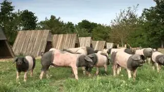 Hohenlohe und Tauberfranken - Folge 2: Wolpertshausen und die wunderbare ...