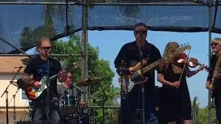 Shadowdogs-AASF 2017