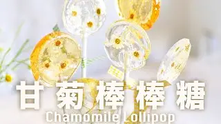 洋甘菊棒棒糖  吃花可以如此浪漫 Homemade Chamomile Lollipop Recipe