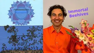 Apitherapy: Immortal Beehives - Purity of bee products preserves good health