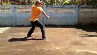 18 Luohan Fist - Hong Xi Guan Southern Shaolin Kungfu