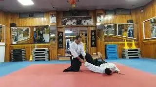 AIKIDO- suwari waza Shomen Uchi Yon-kyo ura