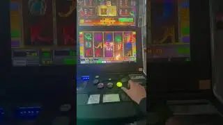 #bookofra #10freegames #spielo 🚨🤣🤣🤣