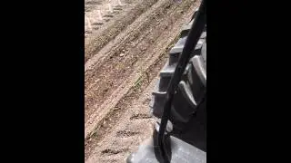 Transplanting Onions