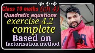 exercise 4.2 chapter 4 | class 10 maths | quadratic equations| factorization method class10 maths