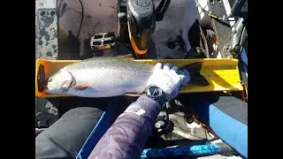 Trolling Dynamic Lures