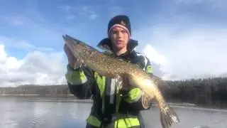 Kort fiskepass p&aring; V&auml;ringen