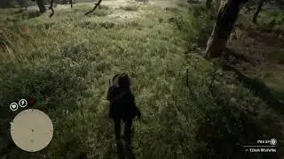 rdr2 - Little Bird Locations, Hunting Requests - Perfect Cedar Waxwing