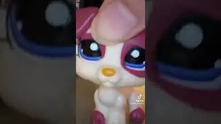 FINLAND!? #littlestpetshop #lpstiktok #lpscollector #lps
