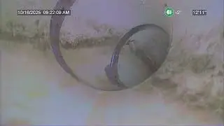 CPVA 10502 Carolina Cherry Circle Video 2