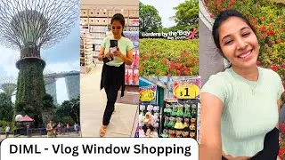 Vlog #1 One Peaceful Dayout 🇸🇬Singapore Top 3 Best Tourist Spot #2026 #gokulkeerthivlogs 