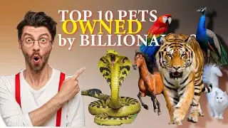 You can't believe what animal is in number 1 Owned by a billionaire 😲😲