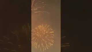 Celebration Firework 4th July Independence Day
