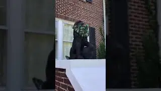 Mask or No Mask