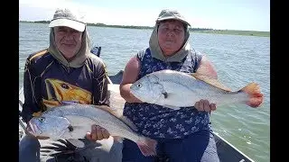 CARDUME DE CORVINÕES COM MUITA FOME, IMPRESIONANTE, GUIA DE PESCA JHONATAN DE FRANCISCO